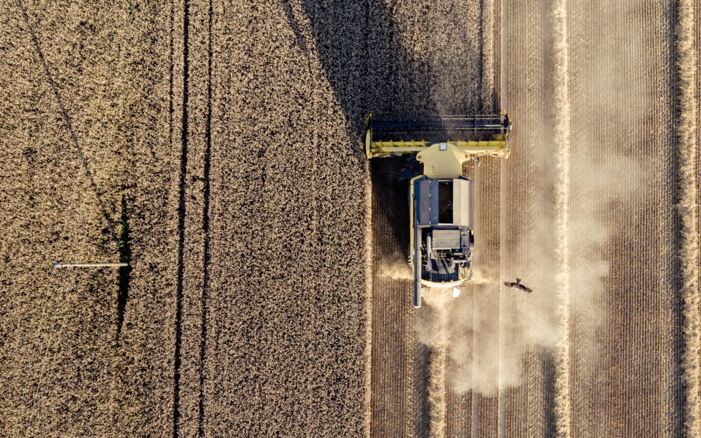 Chi specula sul prezzo del grano?