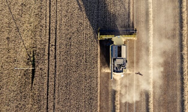 Chi specula sul prezzo del grano?