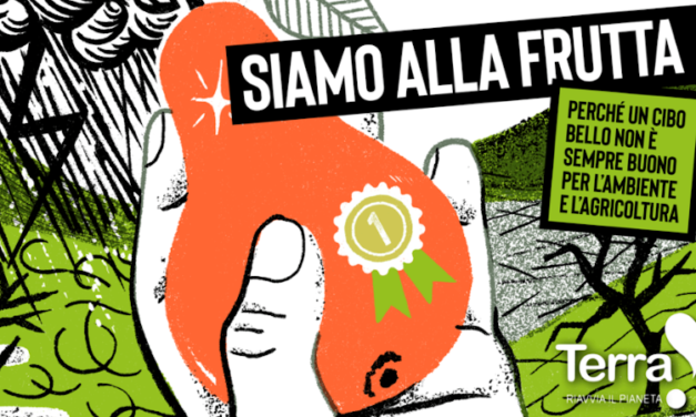 Siamo alla Frutta!