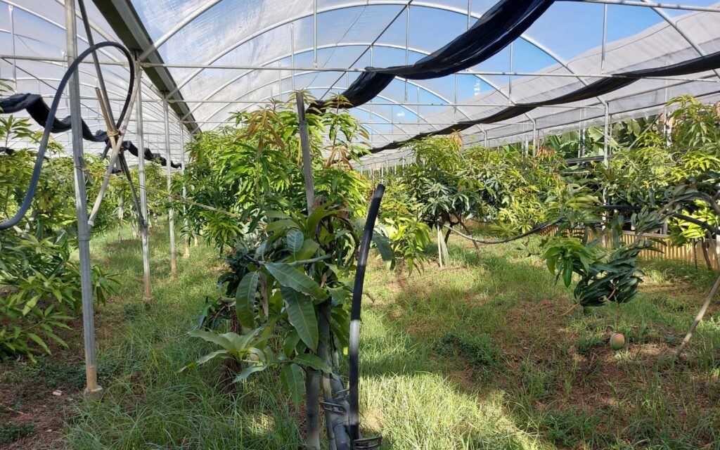 Agroecologia nella Valle dell’Oreto