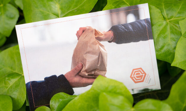 Economia solidale trentina: proposta di formazione