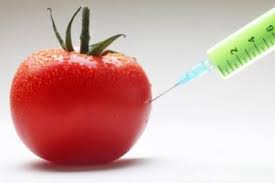 ELEZIONI EUROPEE 2024: STOP A NUOVI OGM!