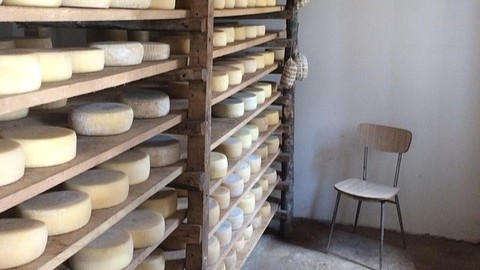 Latte crudo: lettera aperta ai Ministeri dell’Agricultura e della Salute