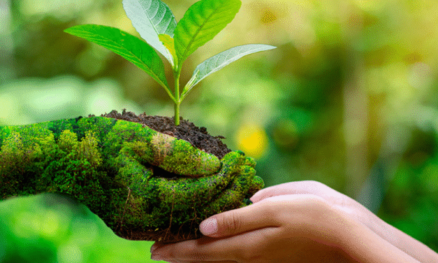 Verso un Forum nazionale dell’agroecologia