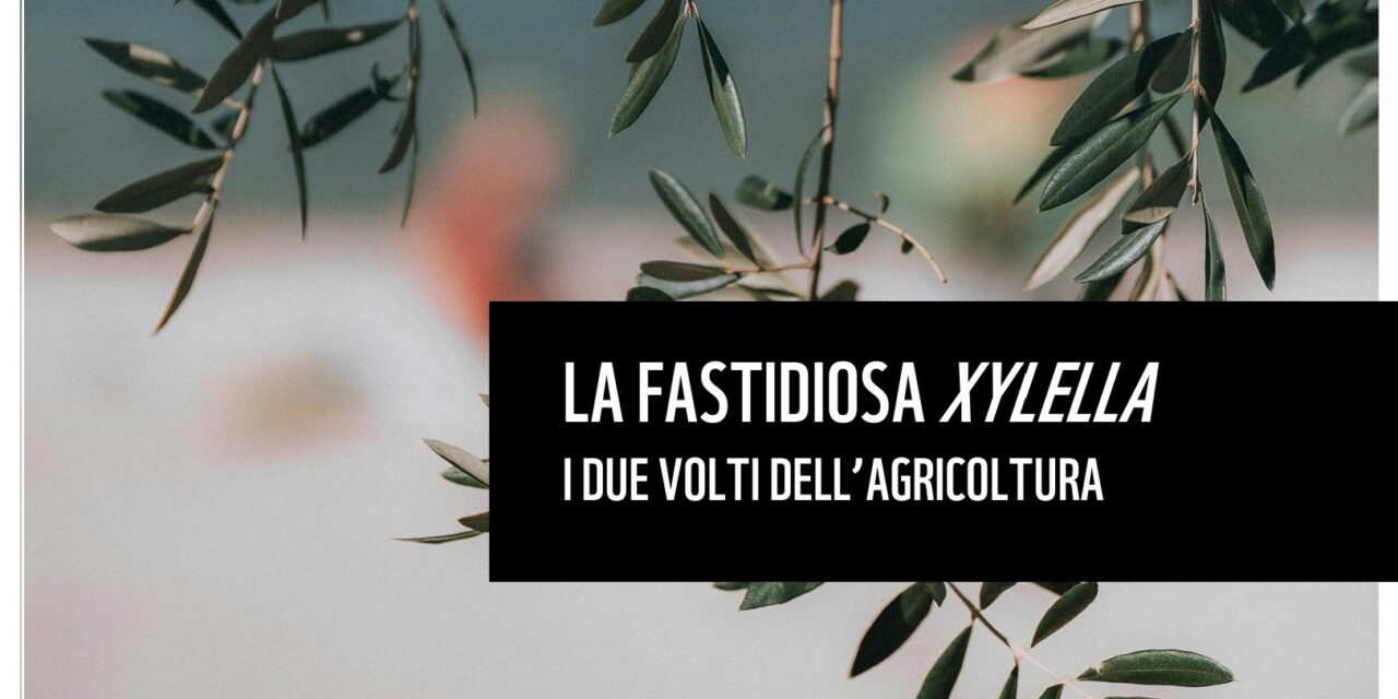 Report Xylella uscito nella Giornata Nazionale dell’Agricoltura