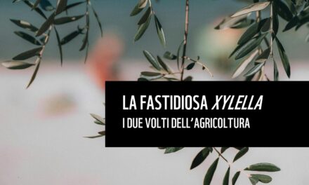 Report Xylella uscito nella Giornata Nazionale dell’Agricoltura
