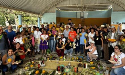 Il mais ha già una casa