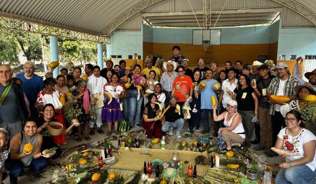 Il mais ha già una casa