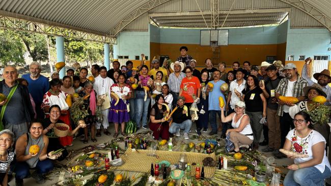 Il mais ha già una casa