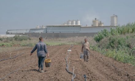 Nitzanei Shalom fa male a Tulkarem