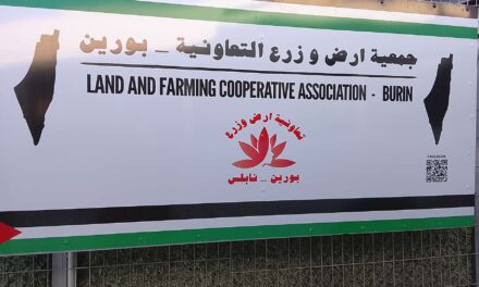 Sostegno al popolo palestinese con il Progetto C.A.S.A.