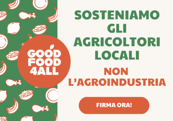 GFFA firma ora